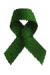 Green Ribbon Campaign: Click to goto the Childfind Canada site